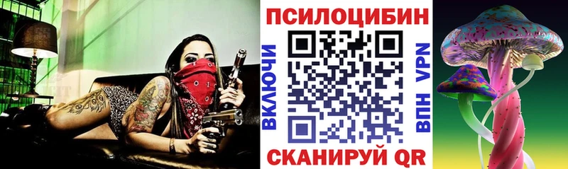 Галлюциногенные грибы мицелий  Купить где  Брянск 