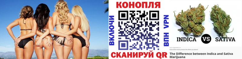 Конопля THC 21%  Купить где  Брянск 